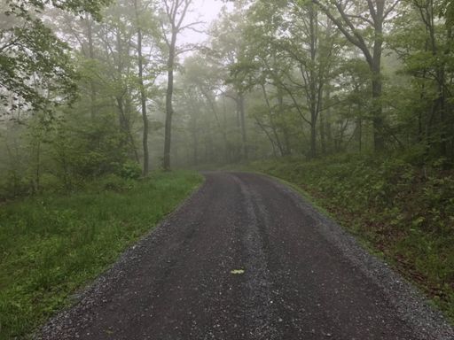 Morning fog & sweet gravel roads!