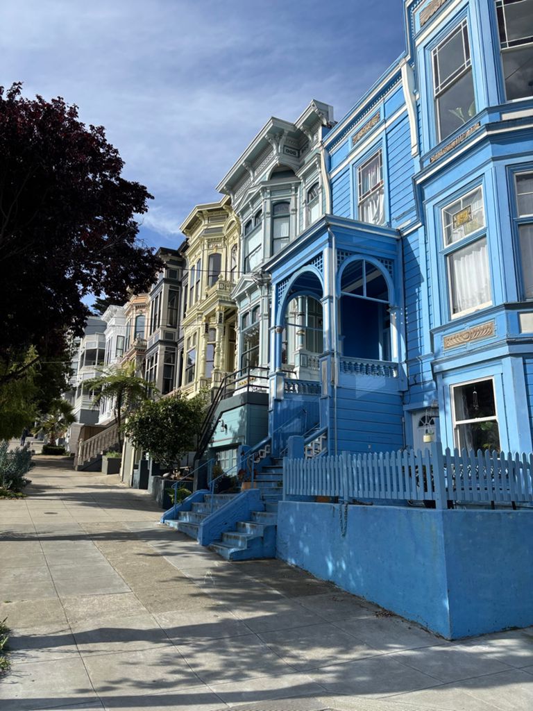 Butterlap (Presidio & Golden Gate Park) photo 11