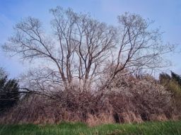 Sortie à vélo le soir