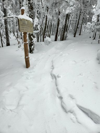Looks like a few people had replicated my stupid human trick from last Sunday of traversing the Cannonballs.