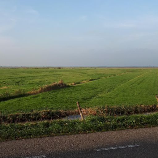 Ik heb nog niet vaak in de polder zó ver kunnen kijken zonder dat er wat in het zicht staat aan de horizon!