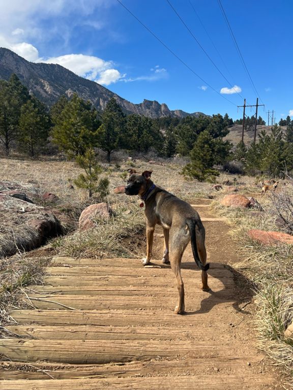 South Boulder Peak photo 5