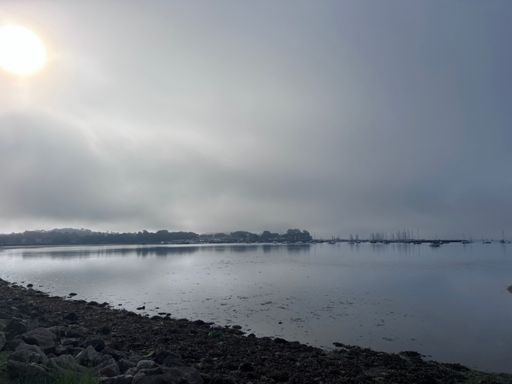 Misty Poole Harbour