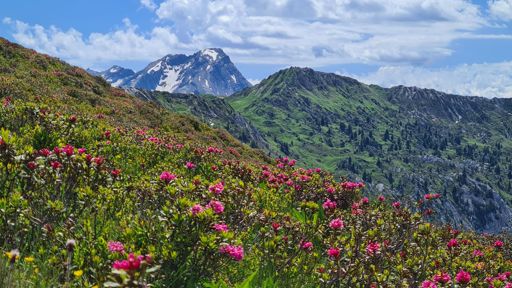 Aussicht vom Leiterli