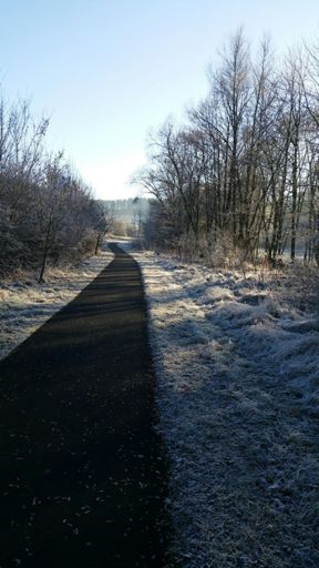 Ei(ch)sfeld am Morgen