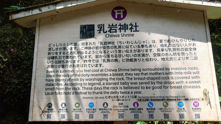 いつもは横目で見ているけど、今日はちょっと立ち寄ってみた。