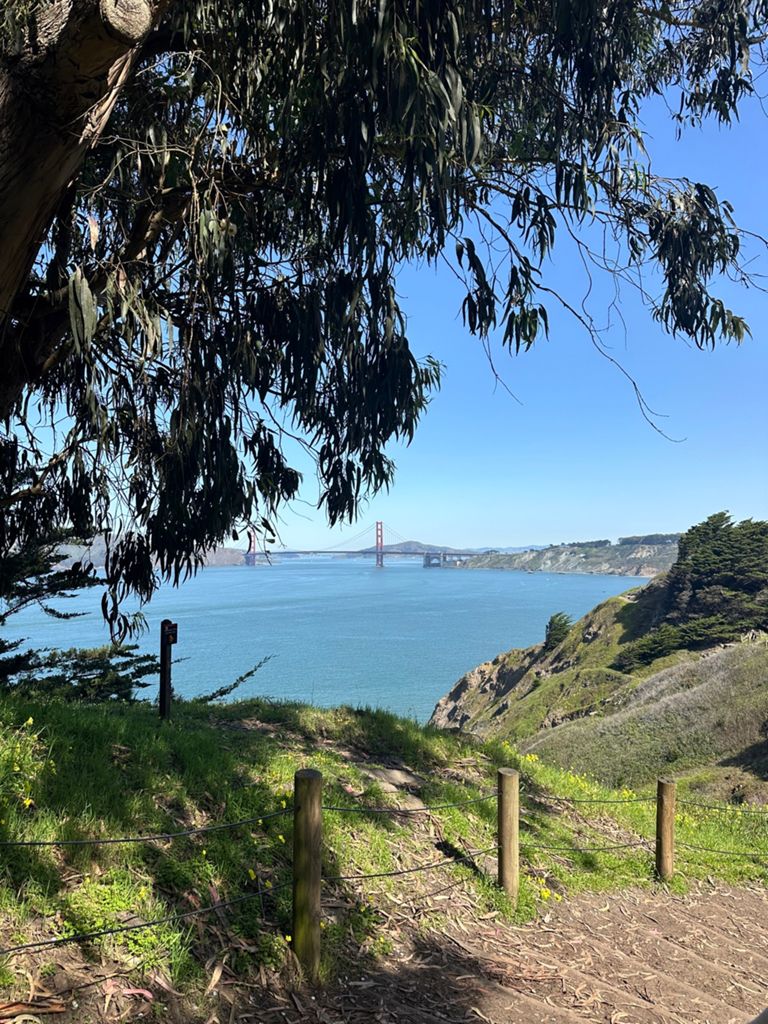 Butterlap (Presidio & Golden Gate Park)的照片 67