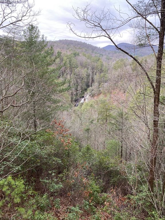 home brasstown bald 160.5 mi Cycling Route on Strava