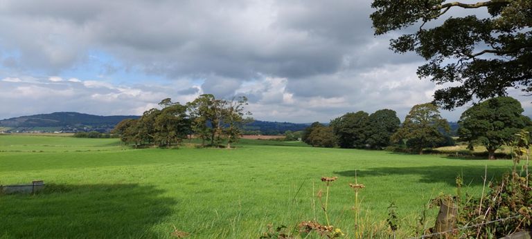 .. continuing right panorama