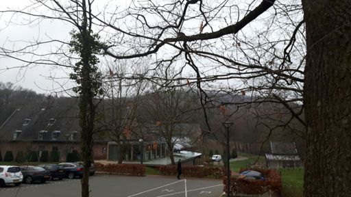 Achter de bomen ligt het monster verscholen