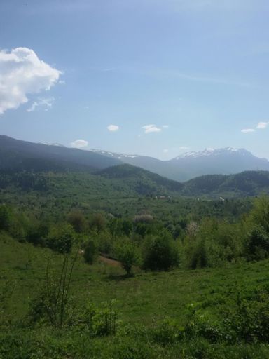 Some eagles were checkin up on me while I was killing my self uphill. Seriously...