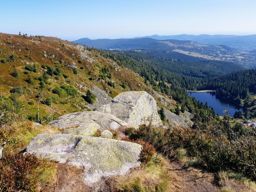 De belles couleurs sur les crêtes