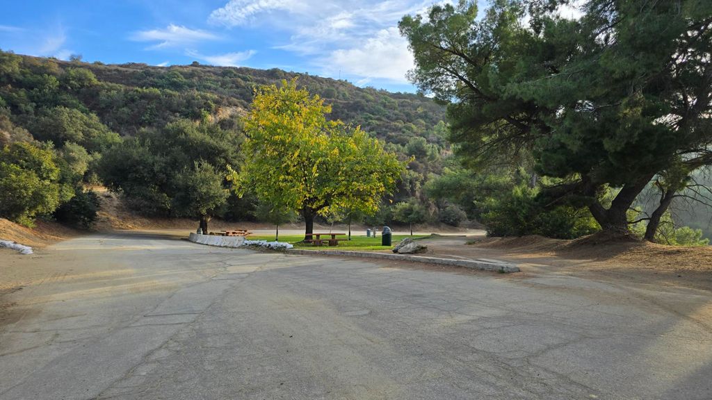 NBB run - Lake Hollywood: фото 84