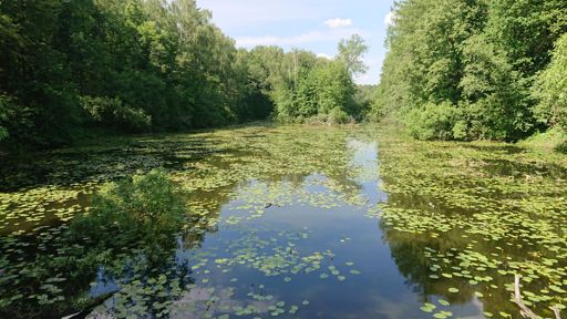 Запруда р.Чермянки в усадьбе Неклюдово