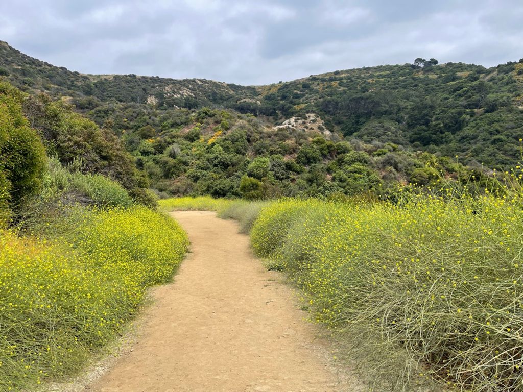 NBB run - Lake Hollywood photo 116