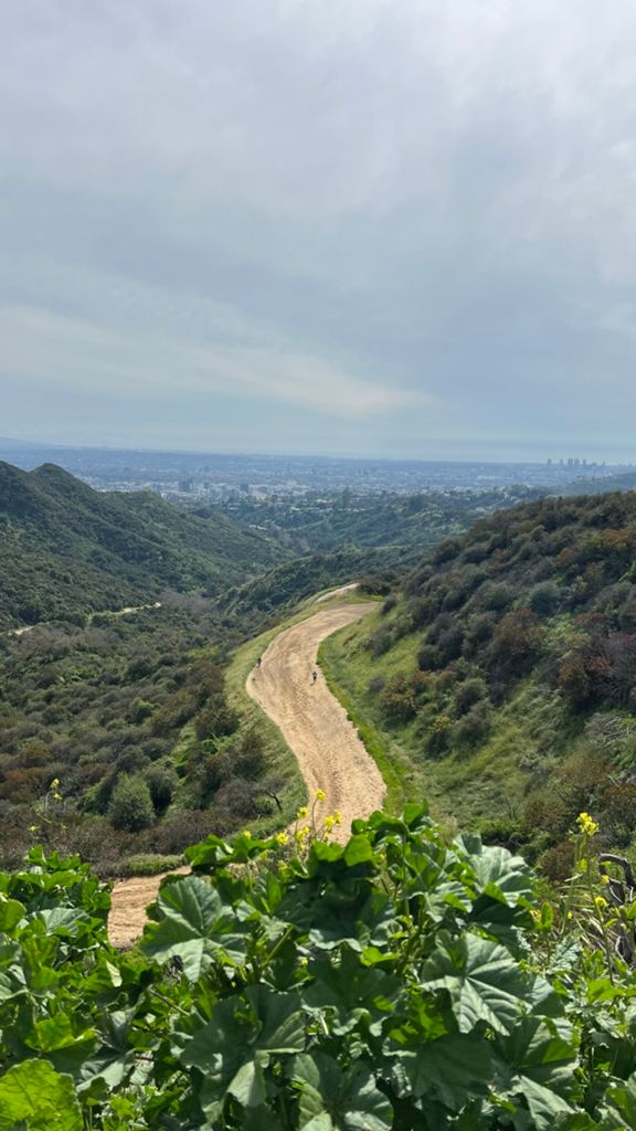 NBB run - Lake Hollywood photo 95