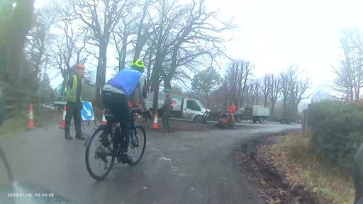 Tree fellers doing felling