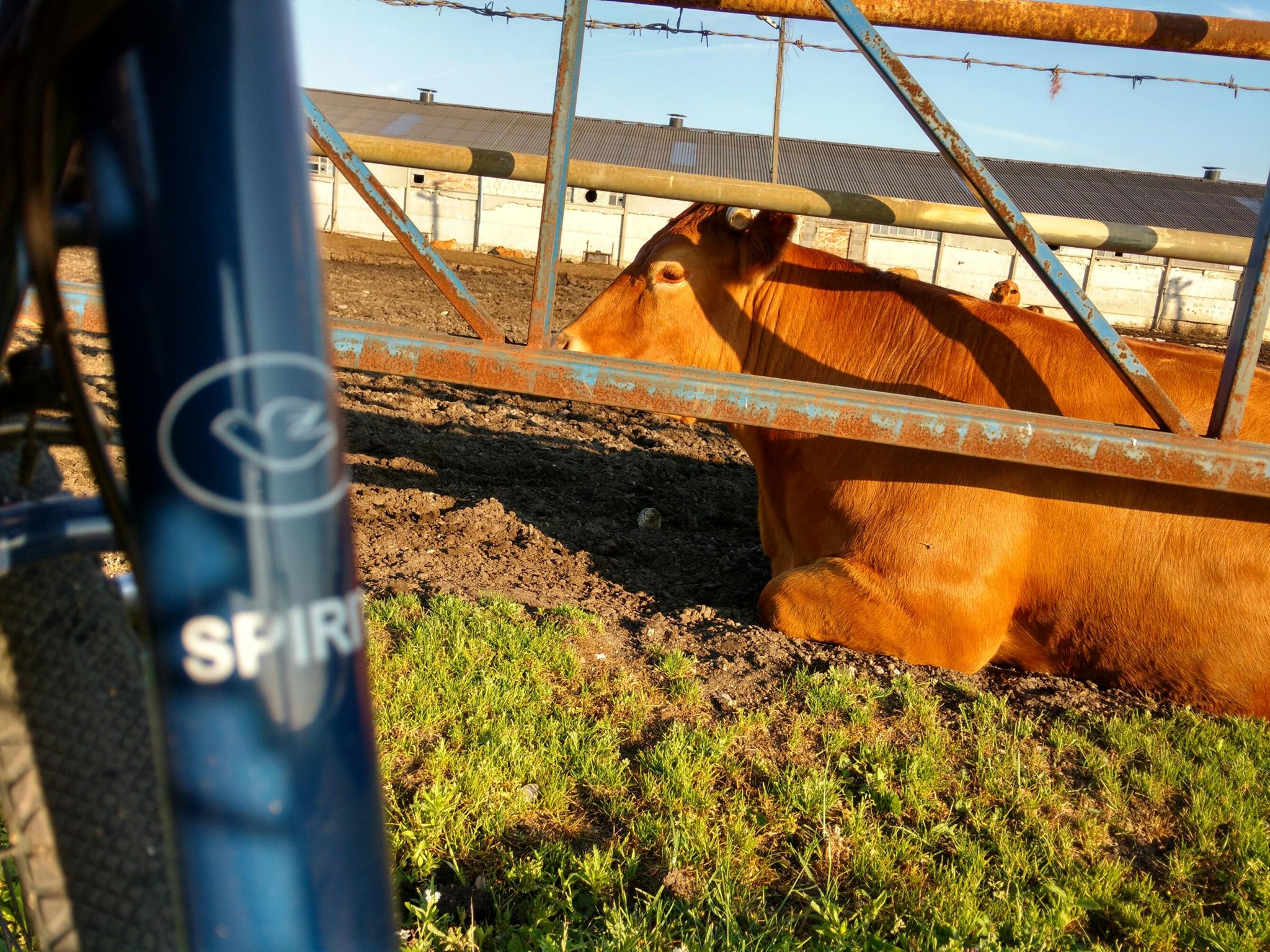 LiI1ZzSIEanCSDV8v3TEAMXlDxpZ1MZJqzOmkBVo