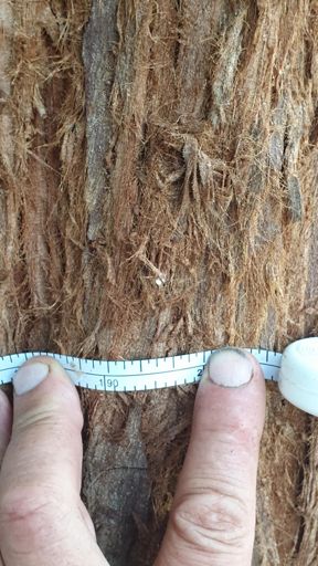 Frankfurt_ID22844_KM_Landgraf-Philipp-Straße 63_BHD 0,7m