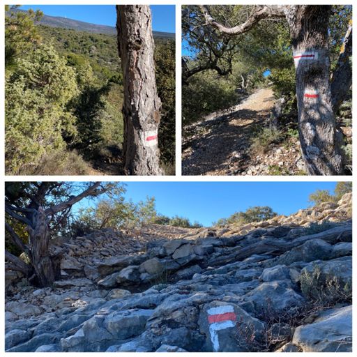 belle journée d'hiver 