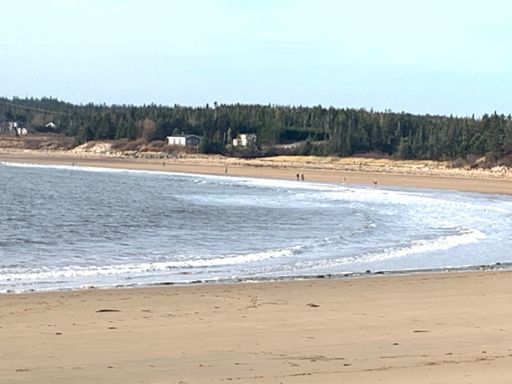 Kids in the water Nov 7 at New River