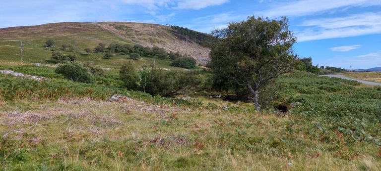 Strathnaver Museum's online shop sells various clearances' accounts: https://www.strathnavermuseum.org.uk/shop-2/