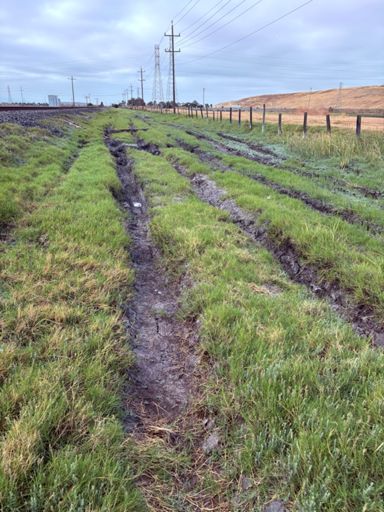 Pretty rutted over in Fremont