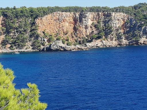 C'est chouette l'Aisne