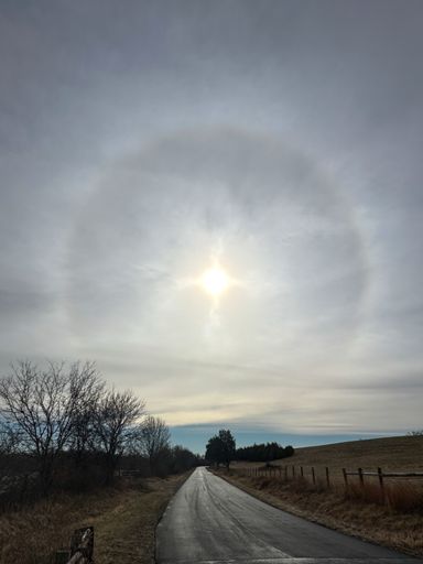Nearly a Full Sun Halo WITH 4 Directional Pillars!  I have seen tons of halos, but not many with the small pillars coming out of the sun! 
