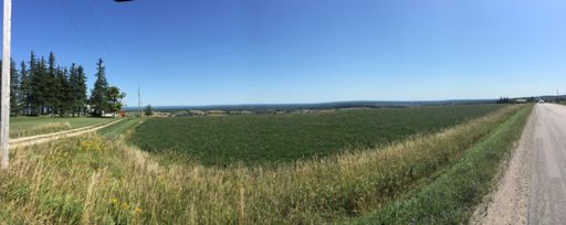 Top of Fairgrounds out of Creemore. 11 - 12%. Awesome!