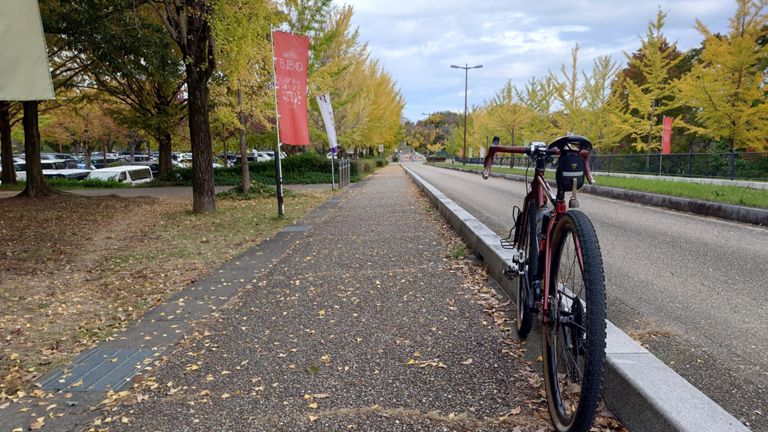 大野極楽寺公園入口のイチョウ並木。
