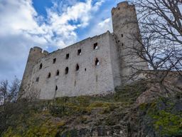 Landsberg eranthis hiemalis