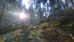Course à pied le midi