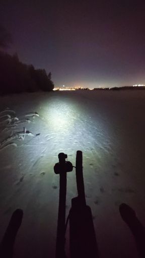 On the frozen Oulujoki river delta