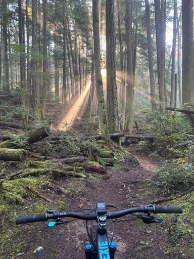 So much loam today.  So good.