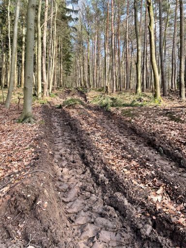 Auch andere Fahrzeuge hinterlassen im 🌳ihre Spuren