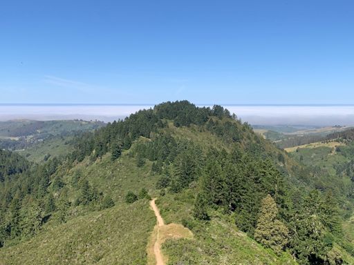 View of lower north ridge trail’s out and back