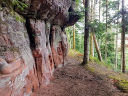 Balade à Pierre Percée VTT+marche