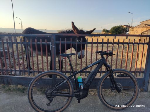 Haciendo amigos 😄😄👍