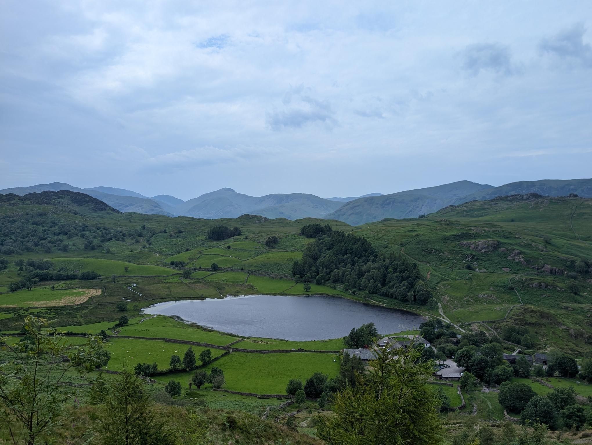 Walk to the bus photo 4