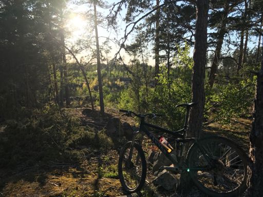Ströbylund i fjärran