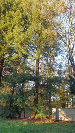 Liederbach ID22562 KM Altkönigstr 8