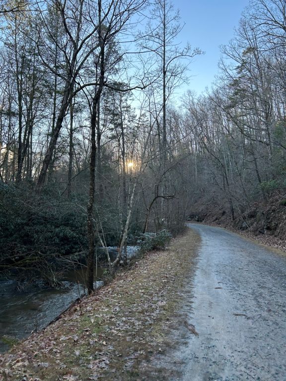 Bent Creek Loop | 17.6 mi Cycling Route on Strava