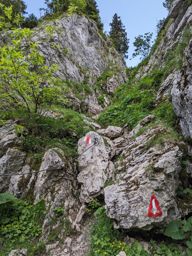Leysin rando ferrata