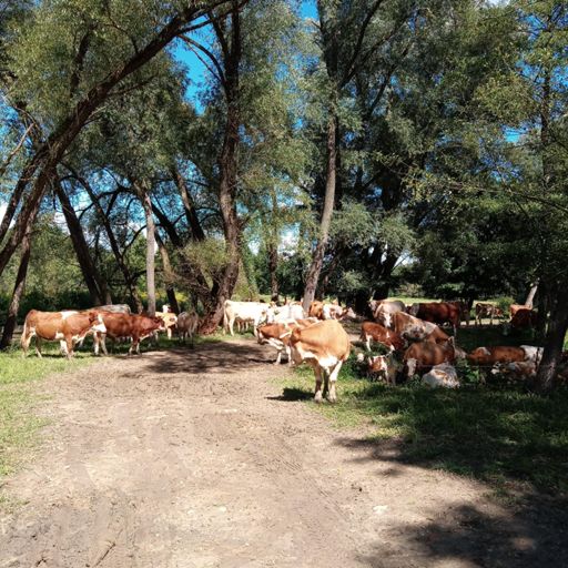 Sorfal. Hurka voltam es nem mentem at koztuk