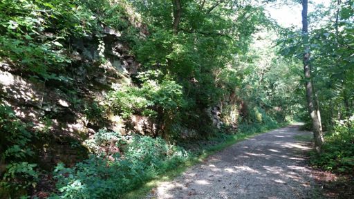 My trail ride commute is the best part of my day!