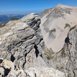 Tête de Lapras et la Cavale par le Nid