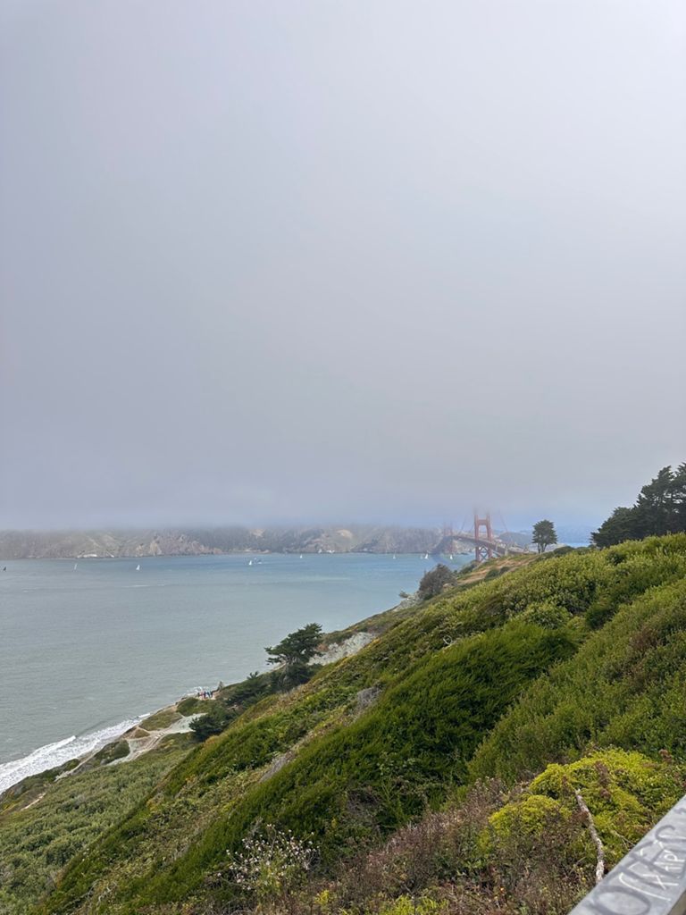 Butterlap (Presidio & Golden Gate Park) photo 82