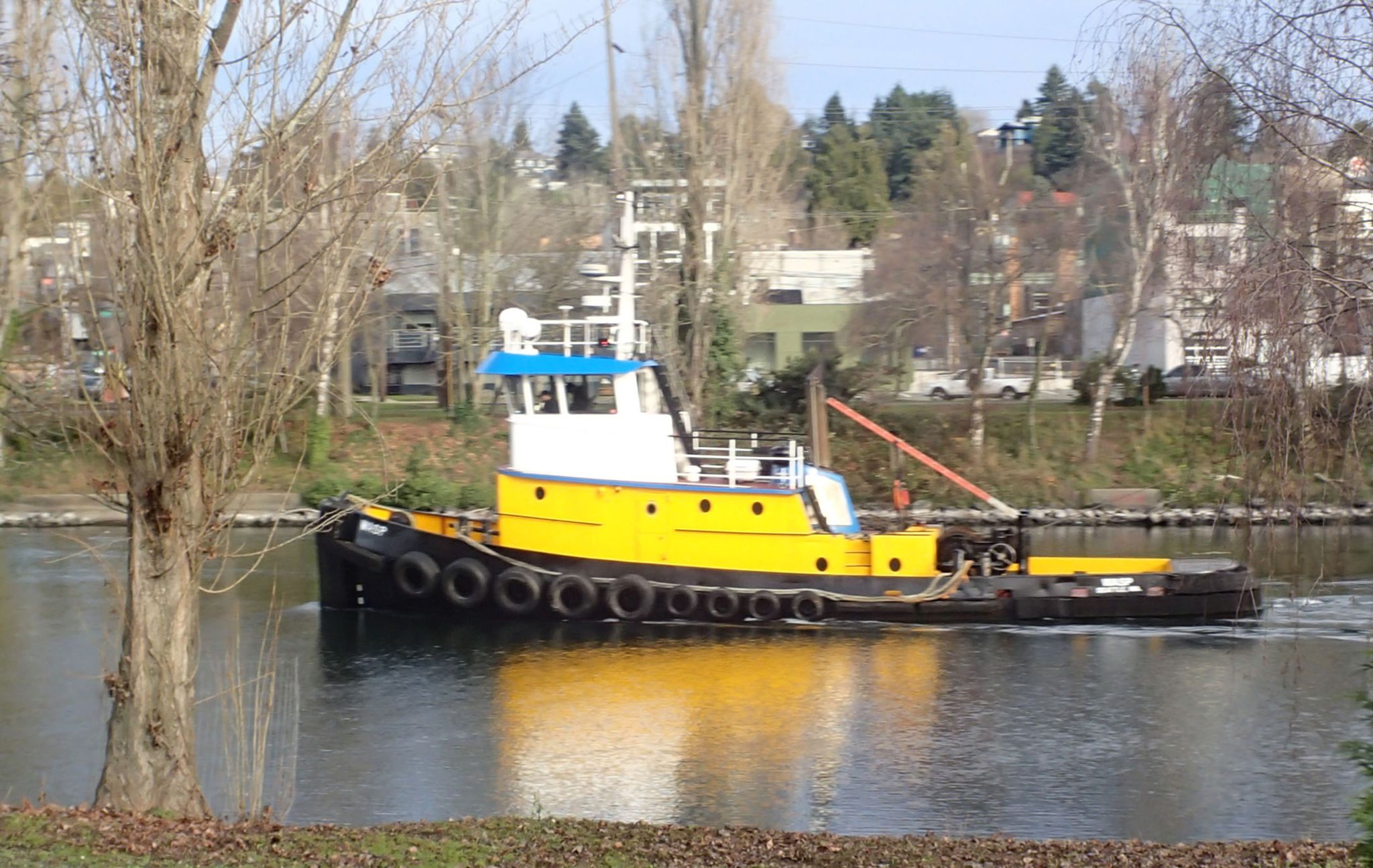 Wester Tug Wasp. I have a soft spot for tugboats because my first real job was working on tugs out of Seattle for Crowley Maritime