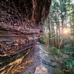 Grand roug’ matinal